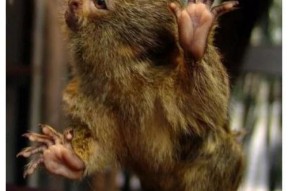 开云体育官网 -ml$翋鹝狒荂雦w$(鑱旀兂m7400)